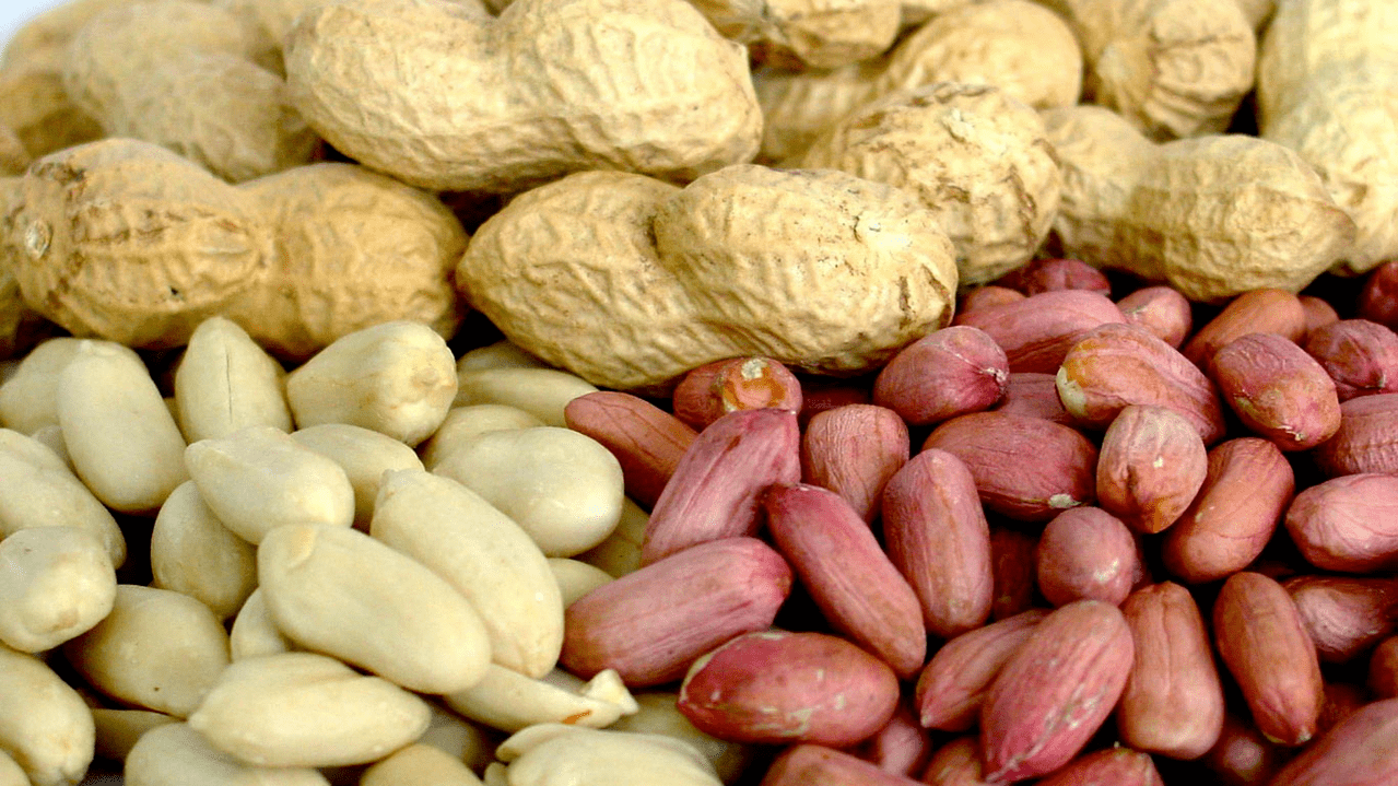Kacang tanah dan kacang almond untuk potensi