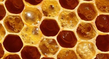 Penggunaan madu untuk meningkatkan potensi