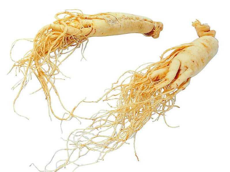 Akar ginseng untuk potensi